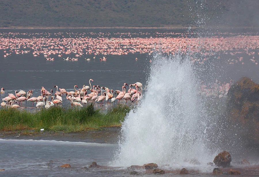 Site 1: Northern Rift Valley